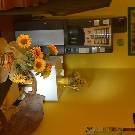 Affittacamere Il Girasole Campi Bisenzio