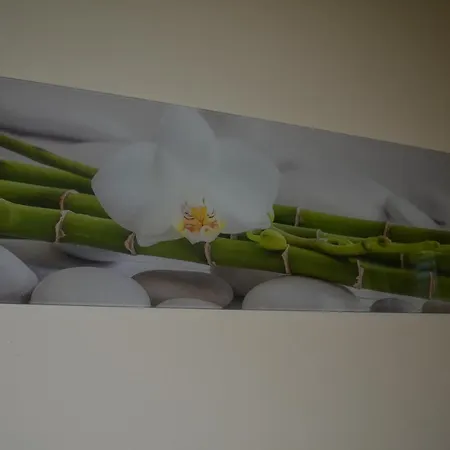 Gasthuis Affittacamere Il Girasole